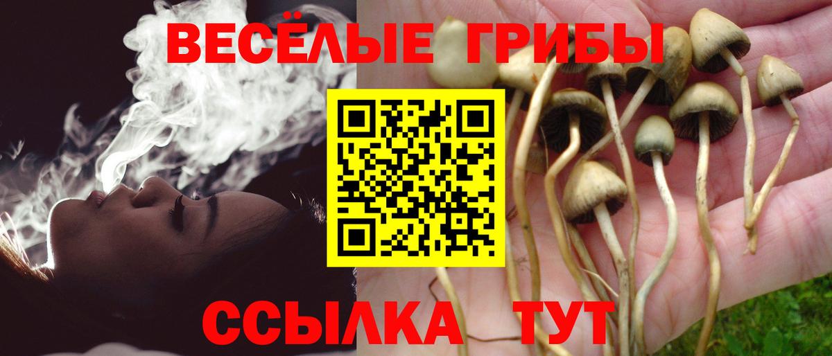 Ейск  Псилоцибиновые грибы Cubensis  купить наркоту  Вход с VPN  Галлюциногенные грибы Magic Shrooms 